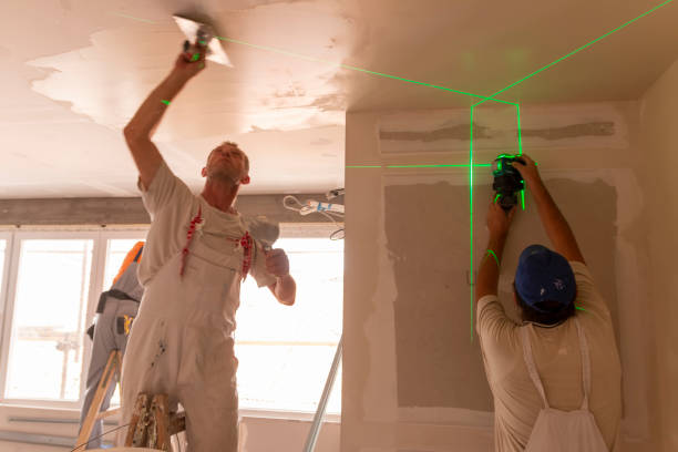 Best Drywall Installation  in Middletown, MD