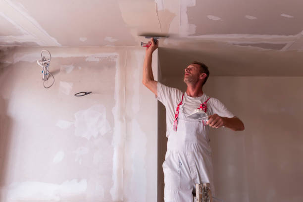 Best Water-Damaged Drywall Repair  in Middletown, MD